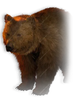 Bear portrait in The Blood of Dawnwalker