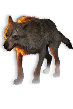 Wolf portrait in The Blood of Dawnwalker